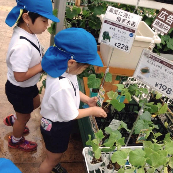 野菜の苗を購入。園庭に植えて、収穫の日を待つ
